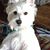Peggy Jones McNairy's profile image