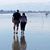 Phyllis Crawford Moss's profile image