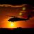 Eugene Schoen's profile image