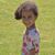 Kendonna Brannin's profile image