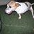 Cathie D. Ashe's profile image