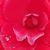 Kathy Jo Reed's profile image