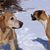 Faith Kandler's profile image