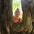 Jon Craig Hill's profile image
