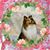 Deb Kermeen-Hobbs's profile image