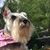Apryl Cantrell-Huster's profile image