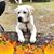 Donna Olbrys-Galganski's profile image
