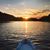 Renee Ruzzo's profile image