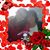 Jessica Johnson's profile image