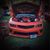 Tracey Evaige Ford's profile image