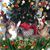 Diane Sadler Spicer's profile image
