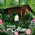 Tammy Sullivan's profile image