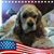 Linda Phillips's profile image