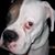 Marc Falk's profile image