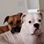 Trisha Cintron's profile image