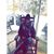 Lisa Cellucci's profile image
