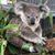 Anita Kruse's profile image