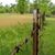 Gina Arrowood Kooch's profile image
