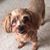 Kimberly Aller Louden's profile image