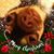 Liz Shampine Hughes's profile image