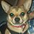 Emma Marie Yellowhawk-Felix's profile image