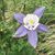 Lori Van Der Wege's profile image