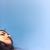 Celina Mt's profile image