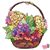 Connie Trapp-Harvey's profile image