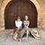 Patricia Wilcox's profile image