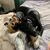 Rhoda Eldot's profile image