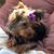 Marc Sartin's profile image