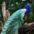 Darlene Lathrop's profile image