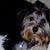 Robin Salerno's profile image
