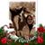 Rose Marie's profile image