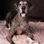 Lisa Michelle Seagraves's profile image