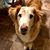 Lorie Hardy Ralston's profile image
