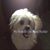 Chuck Bel'cher's profile image