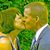 Kathleen Coad O'Brien's profile image