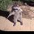 Tom Yen's profile image