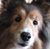 Dan Ranich's profile image