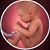 Stanna Pinkowski's profile image