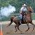 Pamela Davenport-Battin's profile image