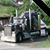Tammy Thomas Lohner's profile image