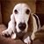 Tracy Reeser's profile image