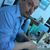 Paul Dunlop's profile image