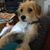 Beth Emerson's profile image