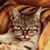 Gary Vandermark's profile image