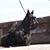 Tracy Wooster's profile image