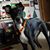 Rey Cardenas's profile image