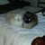 Beverly Danford's profile image